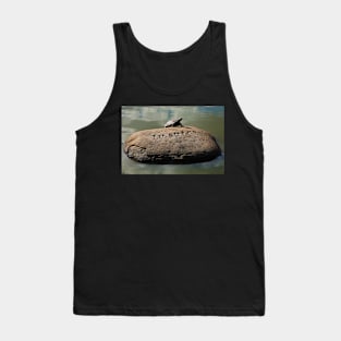 Inspire - Turtle Sunning Itself Tank Top